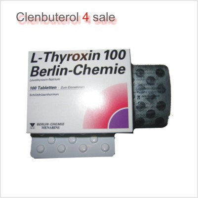 T4 (L-Thyroxin 100)